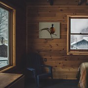 Fowl Play - obraz Brown Louise WDC94856