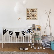 Butterfly Collection - Obraz WDC95410