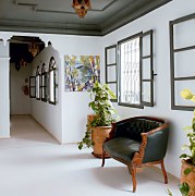 Birch in Spring - Obraz WDC95414