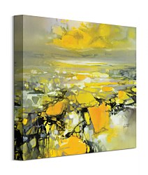 Yellow Matter 2 - obraz Naismith Scott WDC95921