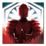 Obraz z filmu Star Wars: The Last Jedi (Elite Guard Defend)  WDC95950