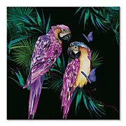 Parrots - obraz Thornton Summer WDC97151