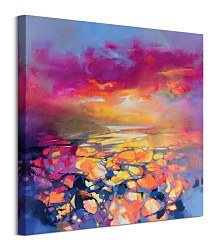 Obraz Farebná nádej - Barker Soozy WDC97246