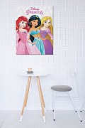 Disney Princezné (Ariel, Jasmine and Rapunzel) - Obraz WDC99415