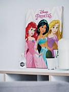 Disney Princezné (Ariel, Jasmine and Rapunzel) - Obraz WDC99415