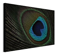 Peacock Feather Eye - obraz WDC99888