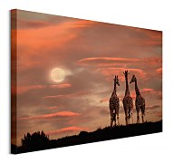 Moonrise Giraffes - obraz WDC99927