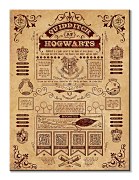 Harry Potter (Quidditch At Hogwarts)  - obraz WDC99975