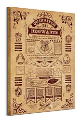 Harry Potter (Quidditch At Hogwarts)  - obraz WDC99975