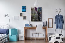 Fantastic Beasts (Fantastic Beasts)  - obraz WDC99984