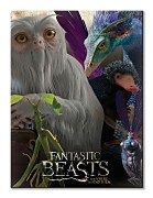 Fantastic Beasts (Fantastic Beasts)  - obraz WDC99984
