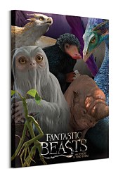 Fantastické zvery a ich výskyt - obraz WDC99992