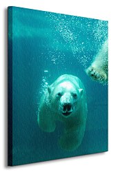 Obraz Ľadový medveď CS0498