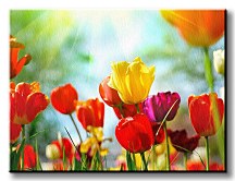 Jarné kvety Obraz CS0717