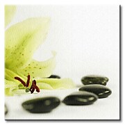 Zdrowie - Obraz na płótnie CKS0331