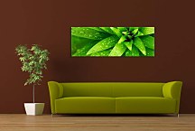 Zelená panoráma Obraz zs18497