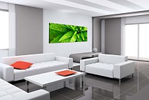 Zelená panoráma Obraz zs18497