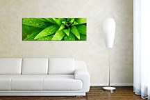 Zelená panoráma Obraz zs18497