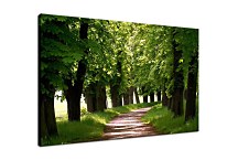 Zelený obraz so stromami 29396
