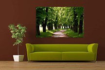 Zelený obraz so stromami 29396