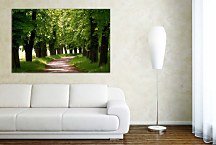 Zelený obraz so stromami 29396