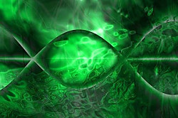 Obraz na stenu ZS - bez pomeru strán