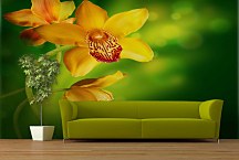 Zelené tapety - Kvety 4679 - latexová