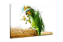 Obraz Zelený Papagáj 29354