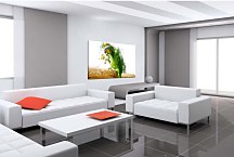 Obraz Zelený Papagáj 29354