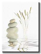 Zen Peace - Obraz CS0509