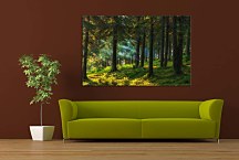 Obraz Život v lese zs29104