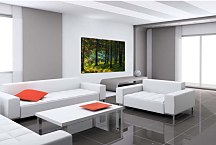 Obraz Život v lese zs29104