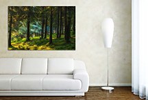 Obraz Život v lese zs29104