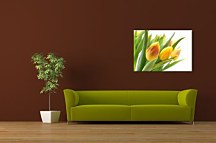 Žlté tulipány Obraz CS0214