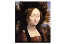Reprodukcie Leonardo da Vinci - Ginevra Benci  zs10187