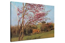 Obrazy J.W.Godward - Blossoming Red Almond zs10244