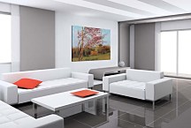 Obrazy J.W.Godward - Blossoming Red Almond zs10244