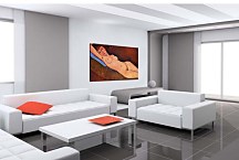 Obraz AMedeo Modigliani - Reclining Nude zs10319