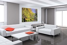 Obrazy Monet - A bend of the Epte Giverny zs10328