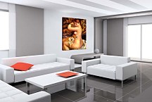 Auguste Renoir - After the bath Obraz  zs10370