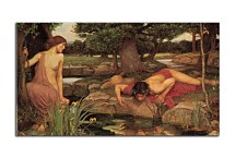 Obrazy John William Waterhouse - Echo and Narcissus zs10397