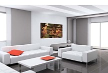 Obrazy John William Waterhouse - Echo and Narcissus zs10397