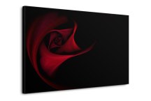 Obraz Červená ruža zs106