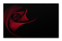 Obraz Červená ruža zs106