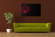 Obraz Červená ruža zs106