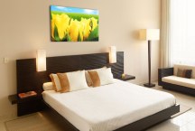 Obraz Žlté ruže zs107