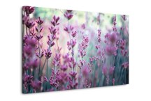 Obraz Levanduľa zs108