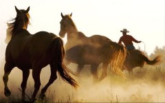 Obraz na stenu ZS - bez pomeru strán