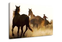 Obrazy Zvieratá - Stádo koní zs110