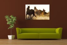 Obrazy Zvieratá - Stádo koní zs110